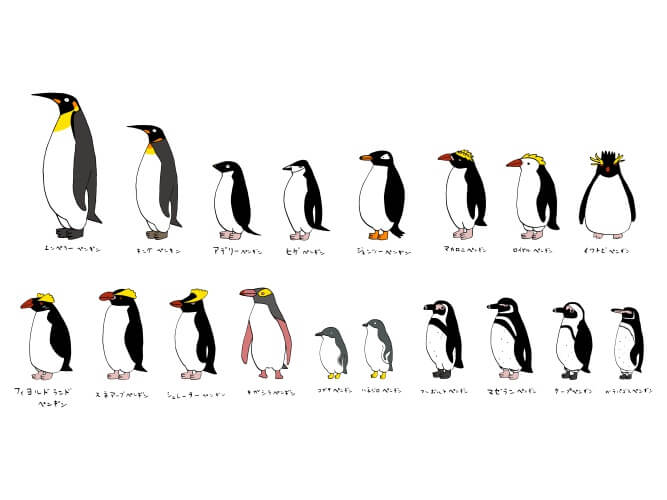 ペンギン18種類がデフォルメされて書かれているイラスト